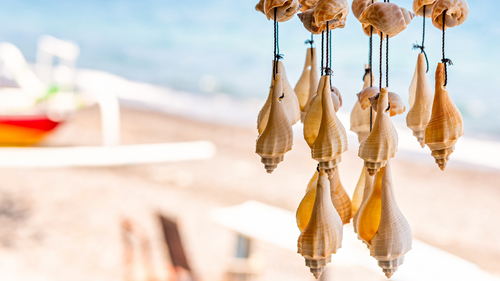 Island Treasures: A Shopaholic's Guide To Andaman Island's Best Souvenirs